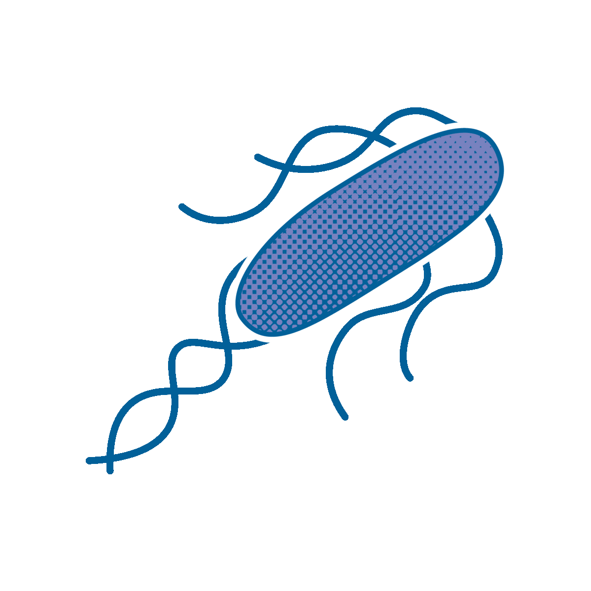 Ecoli
